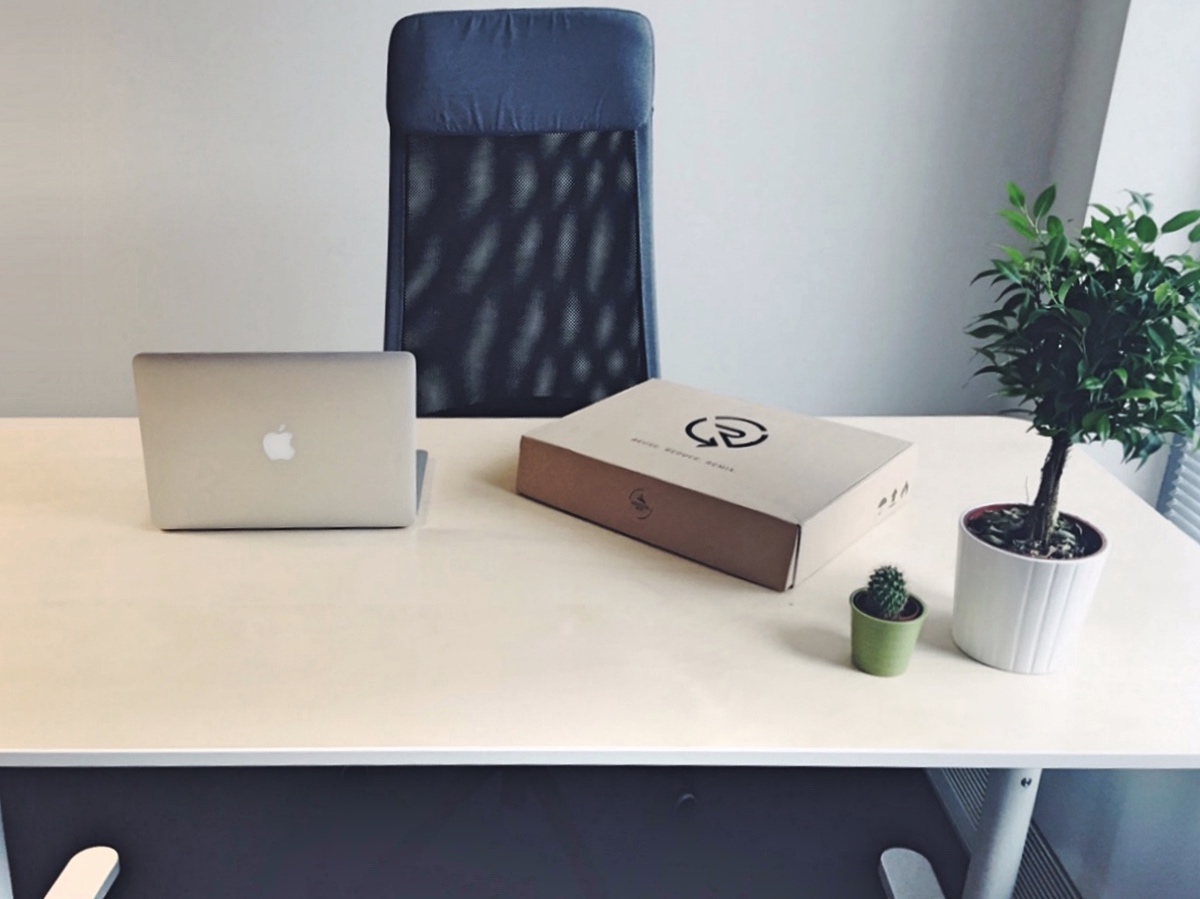 Растения, които ще запазят въздуха чист