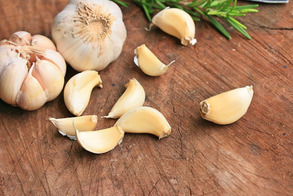 shutterstock_636167531