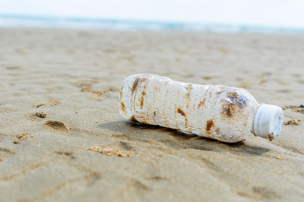 shutterstock_425984230