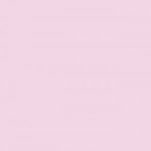 ballet-slipper