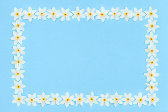 A short glossary of flowers