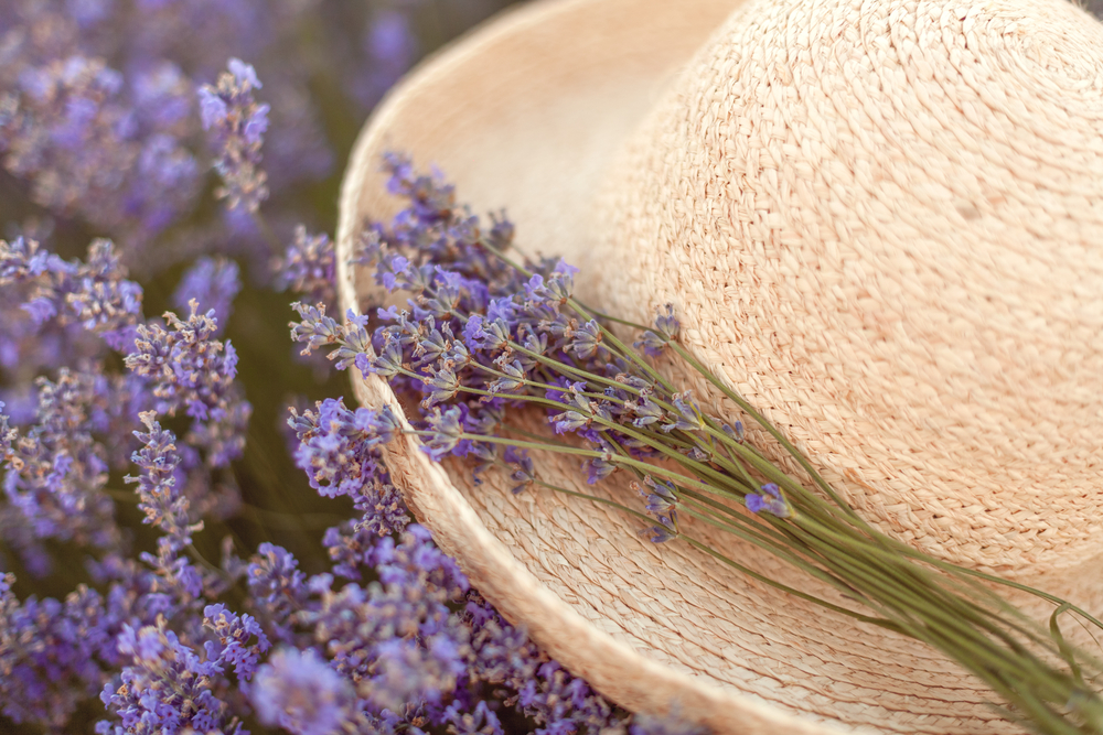 shutterstock_672637234